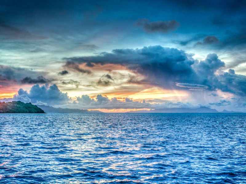 Illness and Loss Bill of&nbsp;Rights